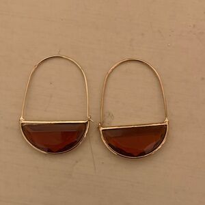 Elegant Gold and Brown Earrings